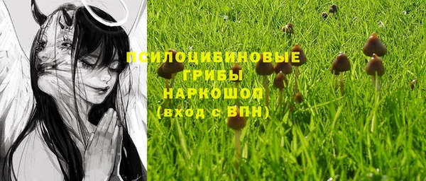 стафф Алзамай