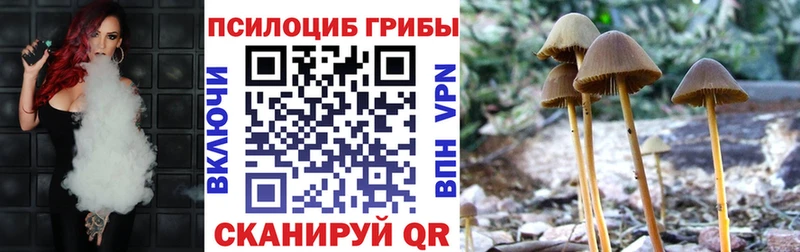 Галлюциногенные грибы ЛСД где купить наркоту Бакал